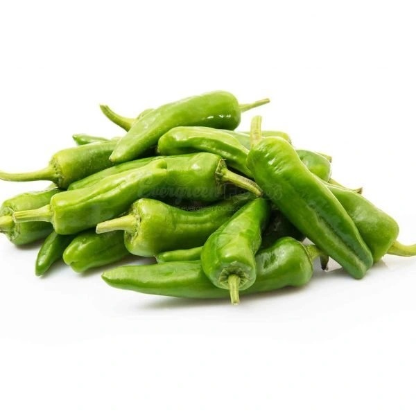 Bullet Chilis