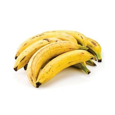 Yellow Plantain